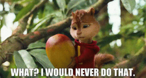 A Chipmunk Is Holding A Mango In A Tree And Says What ? I Would Never Do That . GIF