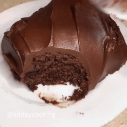 a chocolate cake with a bite taken out of it