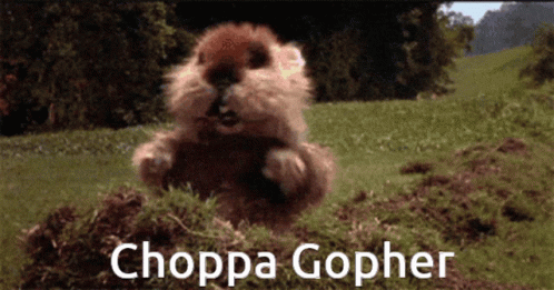 A Choppa Gopher Is Jumping Out Of The Ground GIF