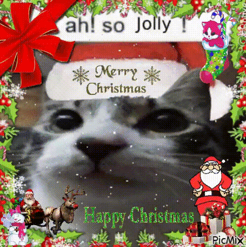 A Christmas Card With A Cat Wearing A Santa Hat And The Words Merry Christmas GIF