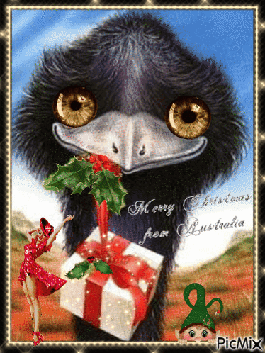 A Christmas Card With An Emu Holding A Gift Box GIF