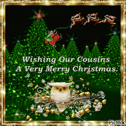 A Christmas Card With An Owl On A Branch Wishing Our Cousins A Merry Christmas GIF