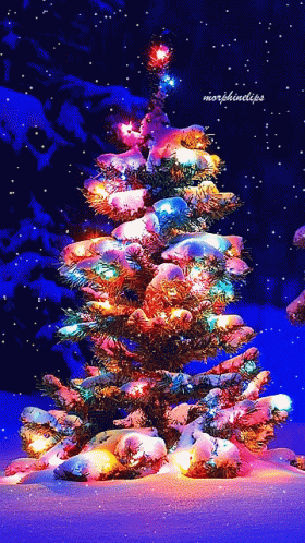 A Christmas Tree Is Lit Up In The Snow With The Words Morphindips Below It GIF