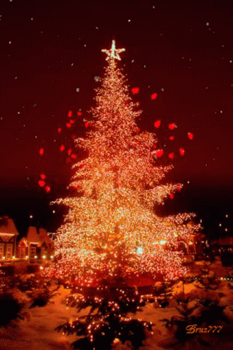A Christmas Tree With A Star On Top Of It Is Lit Up At Night GIF