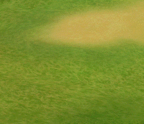 A Circle Of White Clouds Is On A Green Field GIF