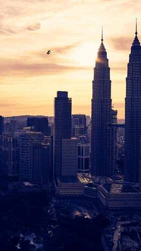 A City Skyline At Sunset With A Bird Flying In The Distance GIF