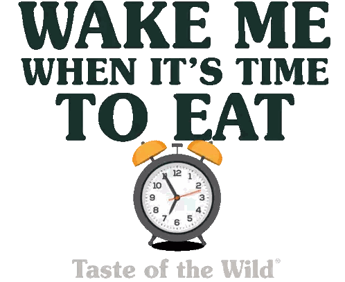 a clock with the words wake me when it 's time to eat on it