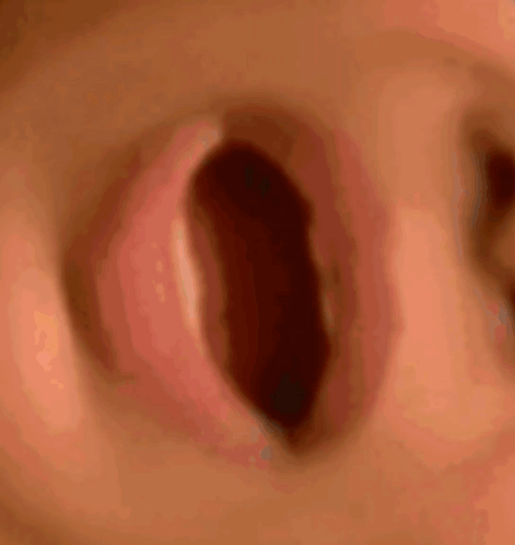 A Close Up Of A Baby 'S Nose With Its Mouth Open . GIF