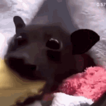 A Close Up Of A Bat Laying On Top Of A Pink Pillow On A Bed . GIF