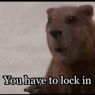 A Close Up Of A Beaver With The Words `` You Have To Lock In '' GIF