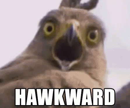 A Close Up Of A Bird With Its Mouth Open And The Words `` Hawkward '' Written On It . GIF