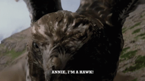 A Close Up Of A Bird With The Words Annie I 'M A Hawk Written Below It GIF