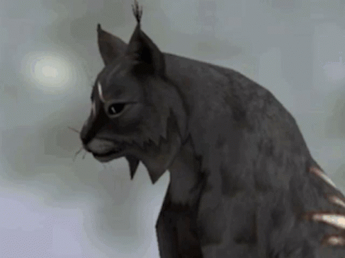 A Close Up Of A Black Cat With A Very Long Whiskers GIF