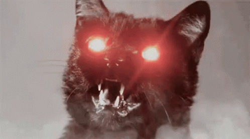 A Close Up Of A Black Cat With Red Eyes And Teeth . GIF