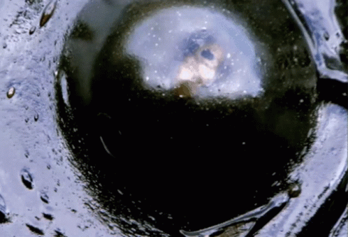 A Close Up Of A Black Sphere With A White Circle In The Middle GIF