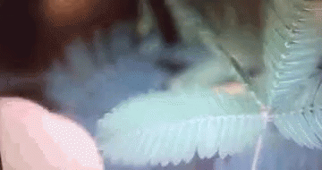 A Close Up Of A Blue Feather With Smoke Coming Out Of It GIF