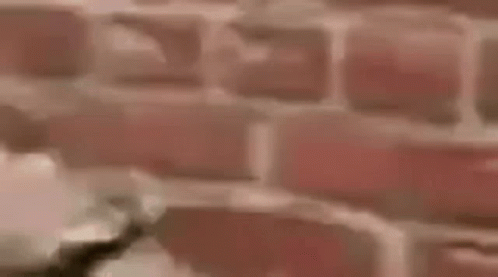 A Close Up Of A Brick Wall With A Blurred Background . GIF
