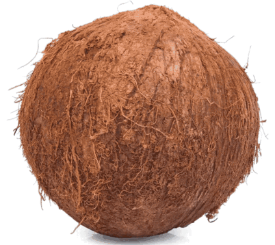 A Close Up Of A Brown Coconut On A White Surface GIF