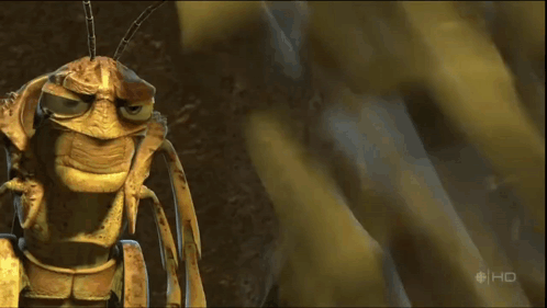 A Close Up Of A Bug On A Screen That Says Hd On It GIF
