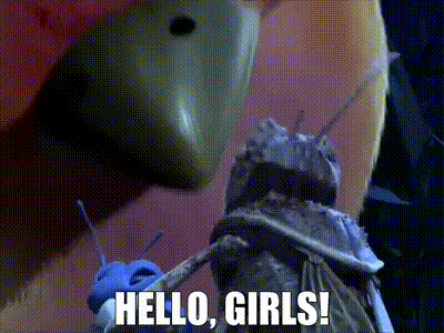A Close Up Of A Bug With The Words `` Hello Girls '' Written On It GIF