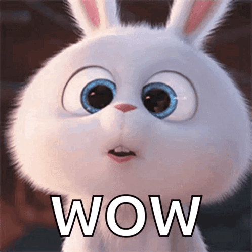 A Close Up Of A Cartoon Bunny With The Word Wow Written On It GIF