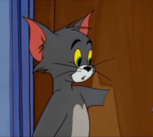 A Close Up Of A Cartoon Cat With A Serious Look On His Face GIF