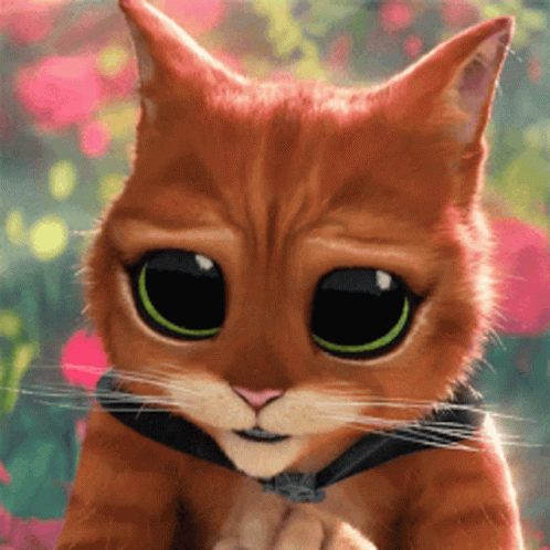 A Close Up Of A Cartoon Cat With Big Eyes GIF