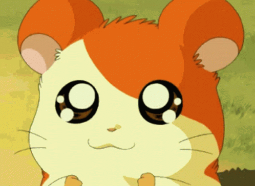 a close up of a cartoon hamster with big black eyes