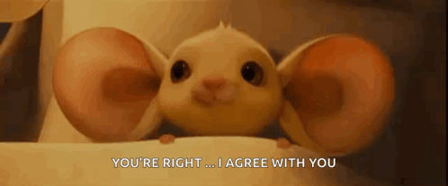 A Close Up Of A Cartoon Mouse With Big Ears And The Words `` You 'Re Right ... I Agree With You '' . GIF