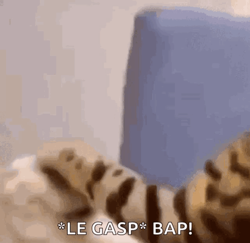 A Close Up Of A Cat Laying On A Bed With The Words Le Gasp Bap Written Below It . GIF