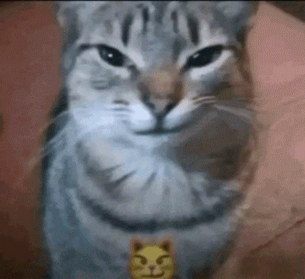A Close Up Of A Cat Making A Funny Face GIF