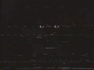 A Close Up Of A Cat 'S Eyes Looking At The Camera On A Black Background . GIF