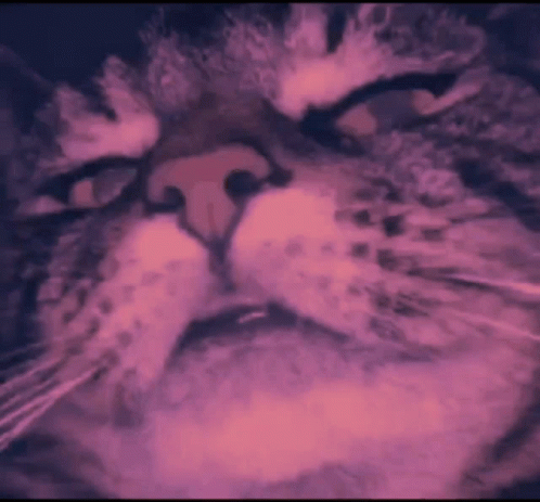 A Close Up Of A Cat 'S Face In A Pink And Blue Painting GIF