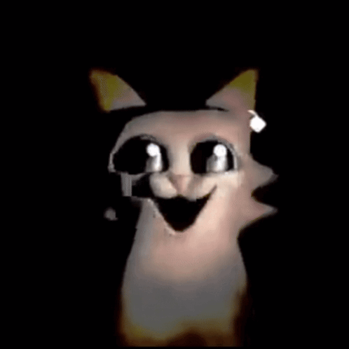 A Close Up Of A Cat 'S Face In A Square GIF