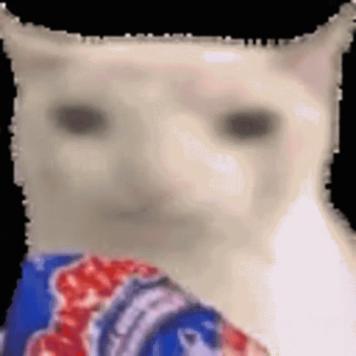 A Close Up Of A Cat 'S Face With A Blue And Red Shirt Around Its Neck GIF
