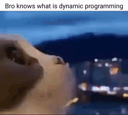 A Close Up Of A Cat 'S Face With A Caption That Says Bro Knows What Is Dynamic Programming . GIF