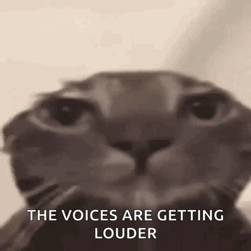 A Close Up Of A Cat 'S Face With A Caption That Says `` The Voices Are Getting Louder '' . GIF