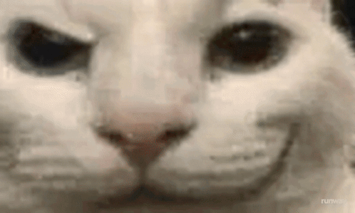 A Close Up Of A Cat 'S Face With A Smiley Face . GIF