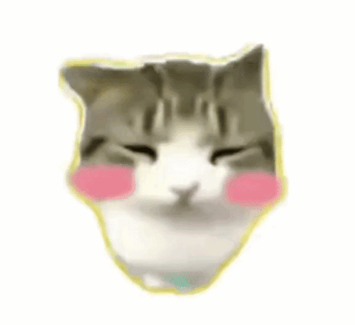 A Close Up Of A Cat 'S Face With A Yellow Border And Pink Cheeks . GIF