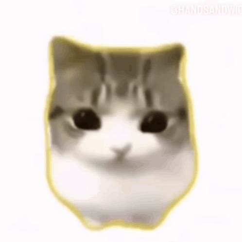 A Close Up Of A Cat 'S Face With Blush On Its Cheeks . GIF