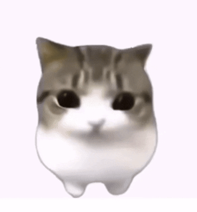 A Close Up Of A Cat 'S Face With Its Eyes Closed And A Pink Cheek . GIF