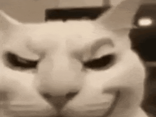 A Close Up Of A Cat 'S Face With Its Eyes Closed And A Smile On Its Face . GIF