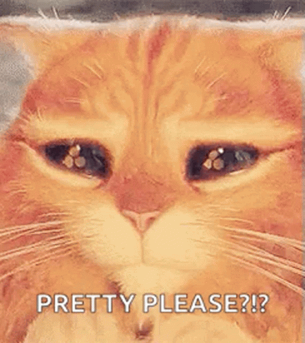 A Close Up Of A Cat 'S Face With Its Eyes Closed And The Words `` Pretty Please ? '' GIF