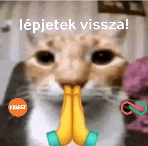 A Close Up Of A Cat 'S Face With Its Hands Folded In Prayer GIF