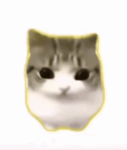 A Close Up Of A Cat 'S Face With Pink Cheeks And A Yellow Outline . GIF