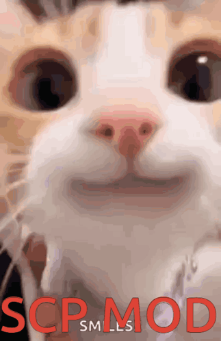 A Close Up Of A Cat 'S Face With Scp Mod Written In Red Letters GIF