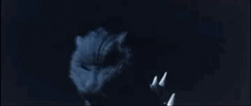 A Close Up Of A Cat 'S Face With Sharp Teeth In The Dark . GIF