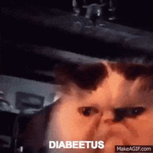 A Close Up Of A Cat 'S Face With The Word Diabeetus On It GIF