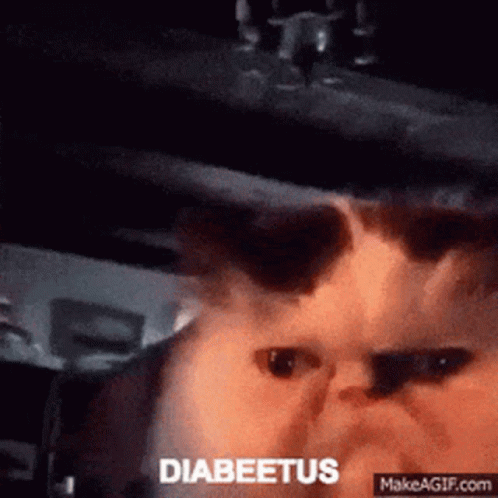 A Close Up Of A Cat 'S Face With The Word Diabeetus On The Bottom GIF