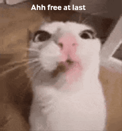 A Close Up Of A Cat 'S Face With The Words Ahh Free At Last On The Bottom GIF